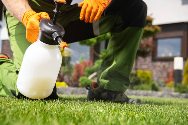 Best Affordable Pest Control Services  in Sequim, WA